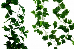 045 Veštačke lozice lijane   